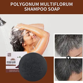 Polygonum Hair Growth Shampoo Bar - Smart Shop (Online Store for wise shoppers) 