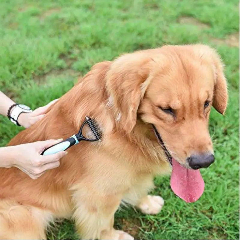 Pet Grooming Comb