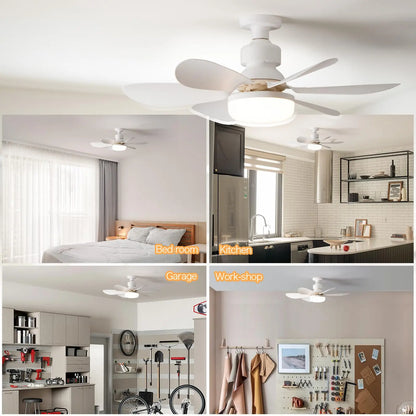 Socket Ceiling Fan with Light - Smart Shop (Online Store for wise shoppers) 