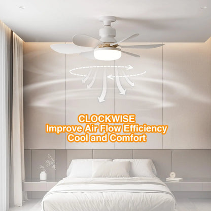 Socket Ceiling Fan with Light - Smart Shop (Online Store for wise shoppers) 