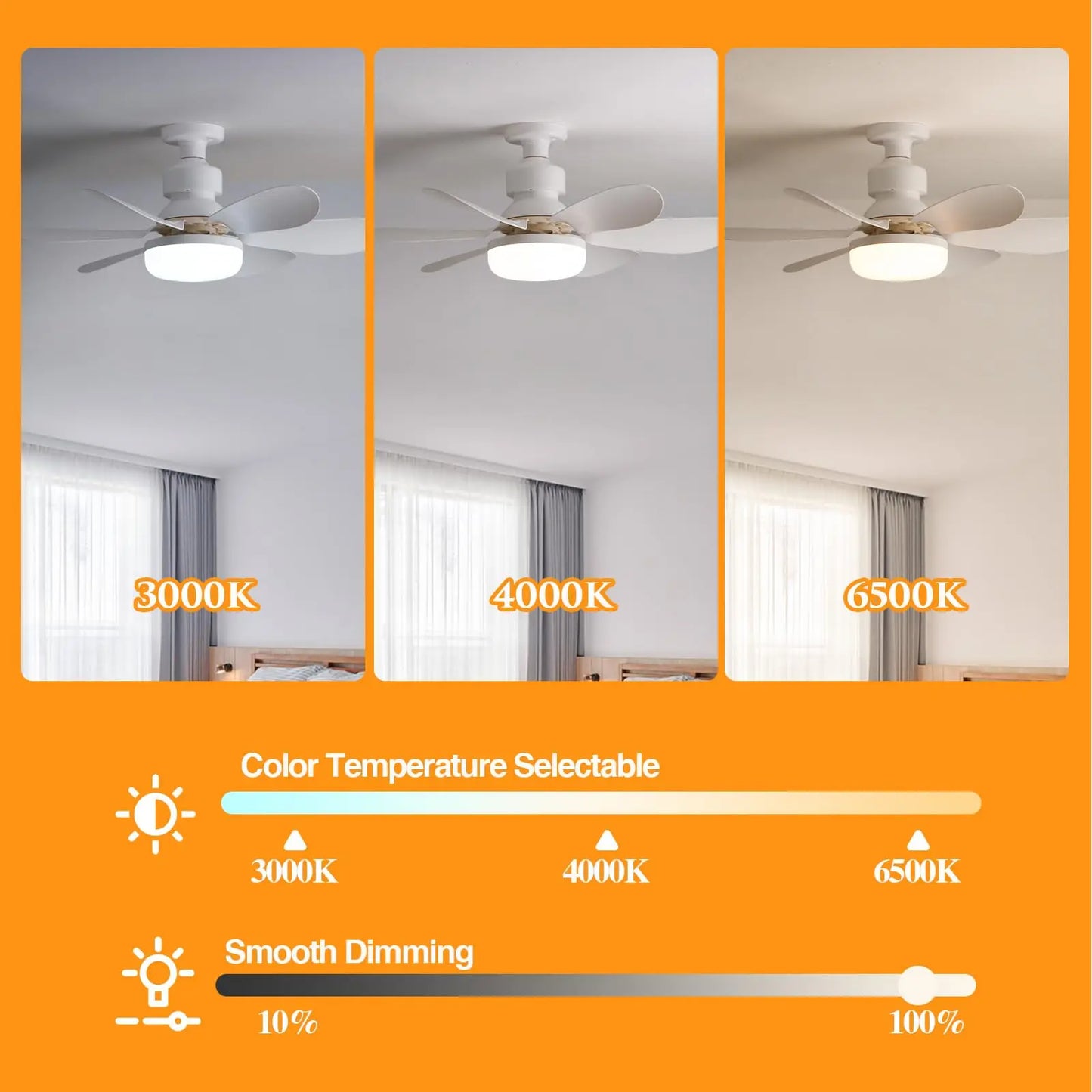 Socket Ceiling Fan with Light - Smart Shop (Online Store for wise shoppers) 