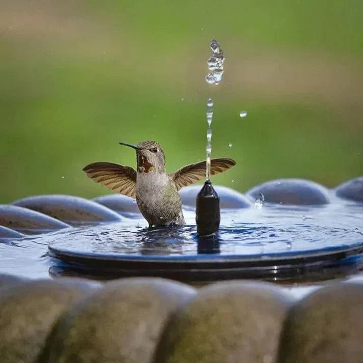 Alveris™ Solar-Powered Fountain