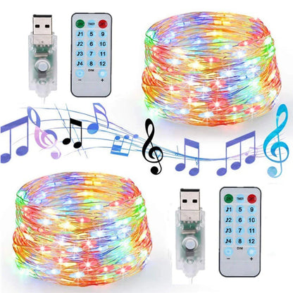 Sound Control Decorative String Light - Smart Shop (Online Store for wise shoppers) 