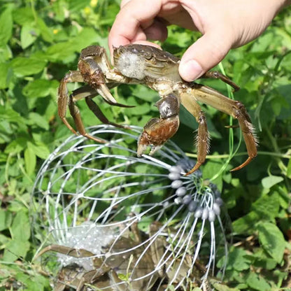 Automatic Fishing Net Cage - Smart Shop (Online Store for wise shoppers) 