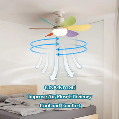 Socket Ceiling Fan with Light - Smart Shop (Online Store for wise shoppers) 