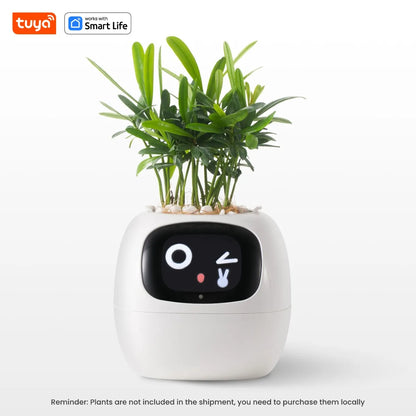 Tuya Ivy Smart Planter with Interactive AI & Customizable Display