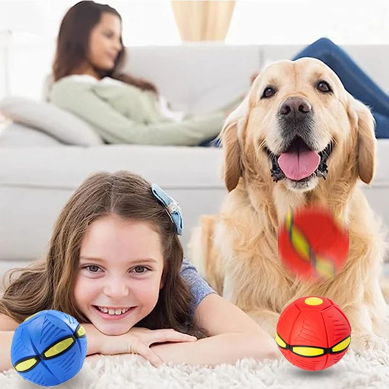 Transforming Flying Saucer Dog Toy