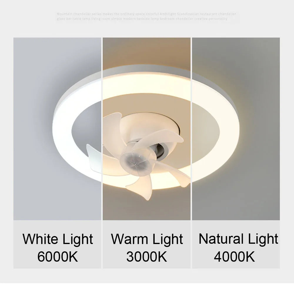 2 in 1 Swivel Fan LED Lamp - Smart Shop (Online Store for wise shoppers) 