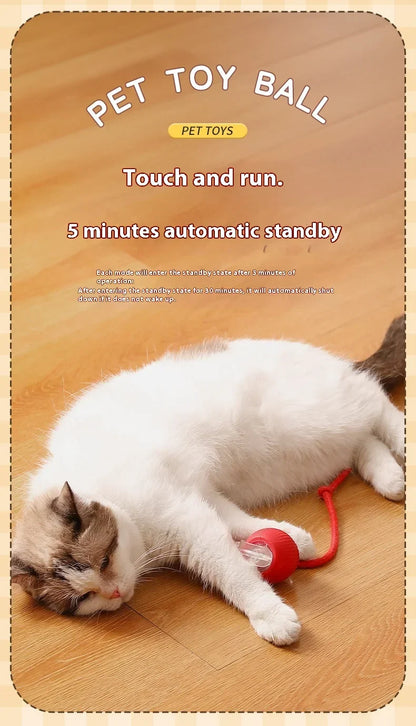 USB Rechargeable Smart Rolling Cat Toy – Type-C Charging Interactive Ball