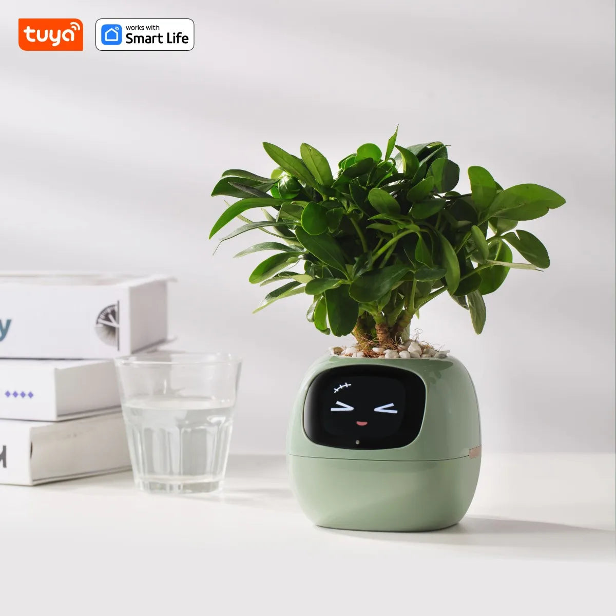 Tuya Ivy Smart Planter with Interactive AI & Customizable Display