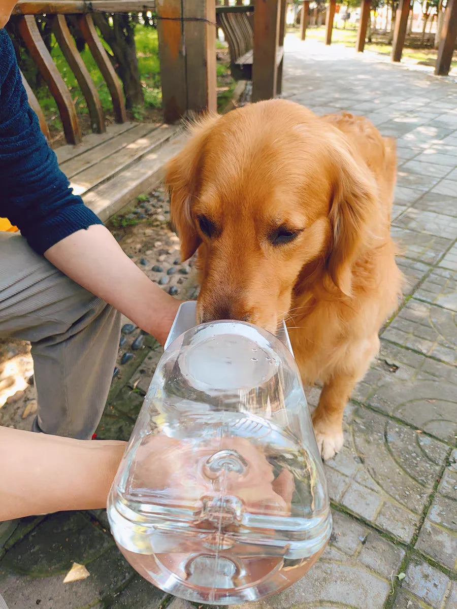 2-in-1 Portable Dog Water and Food Dispenser Bottle