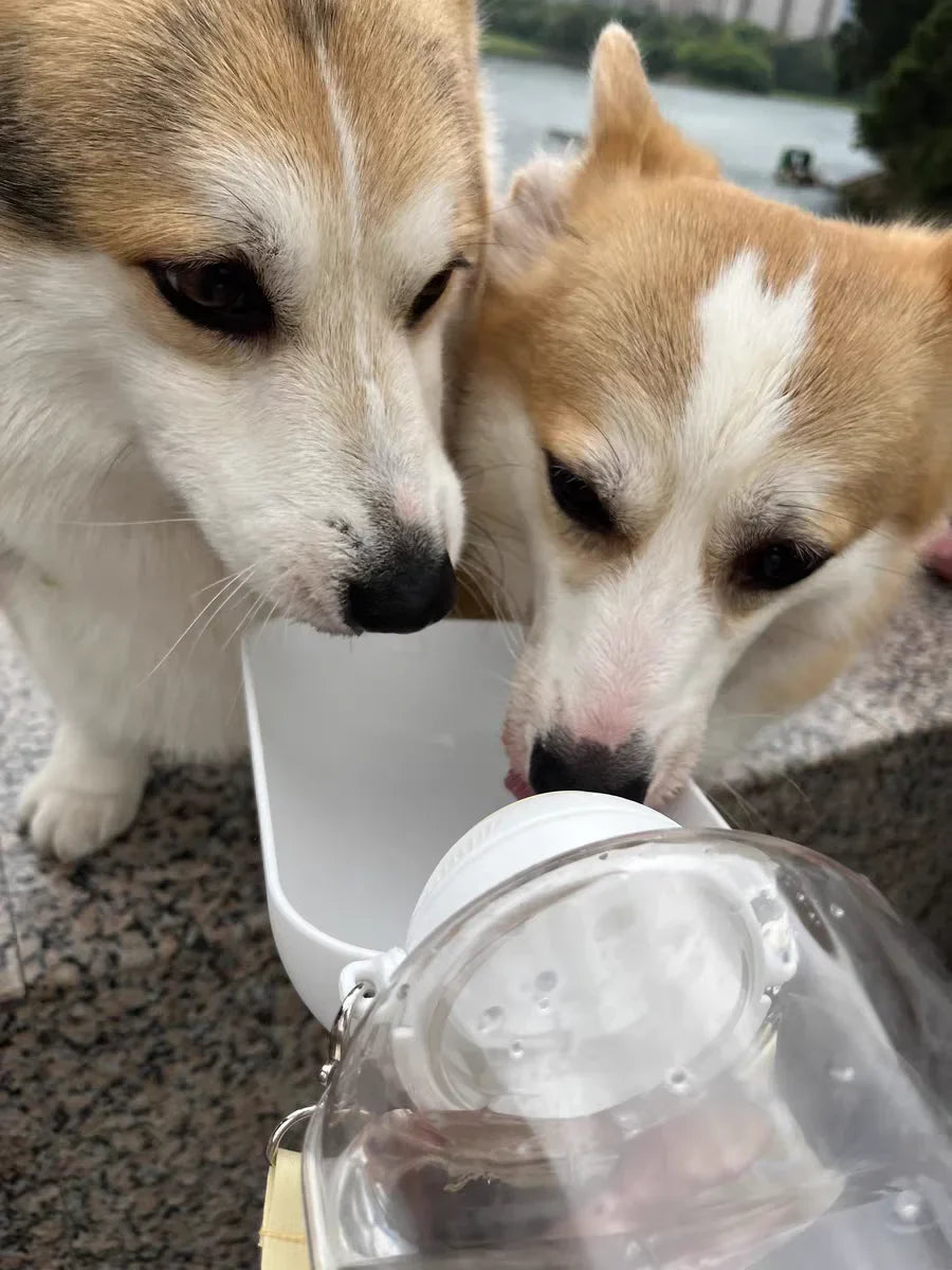 2-in-1 Portable Dog Water and Food Dispenser Bottle