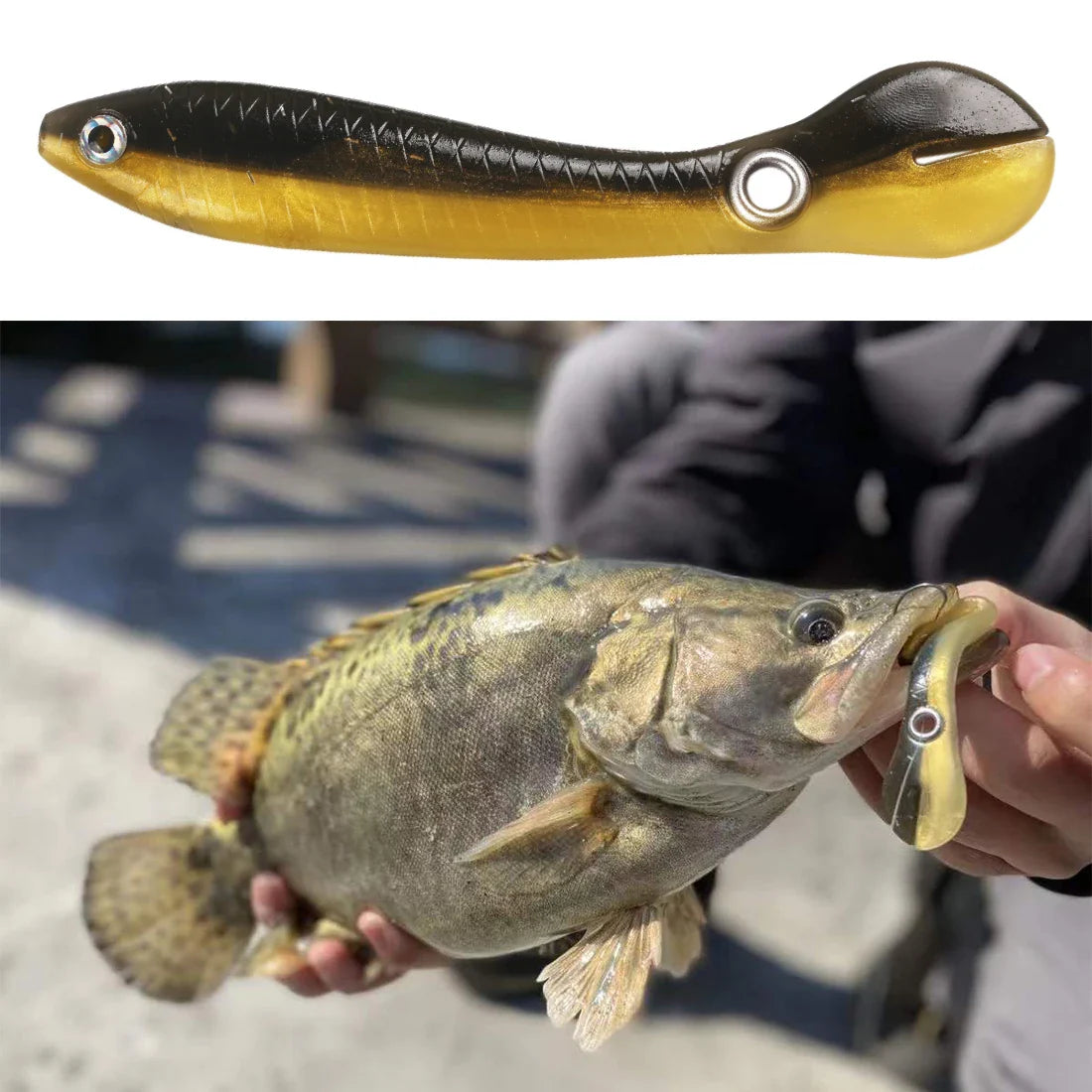 Fishing Lure - Smart Shop (Online Store for wise shoppers) 