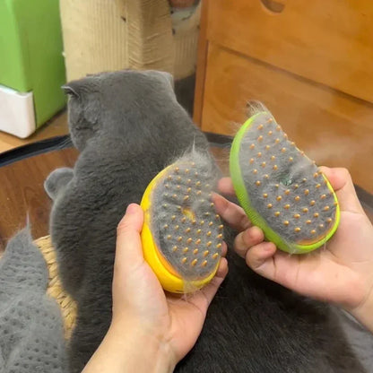 Electric Cat Steam Brush with Gentle Massage Function