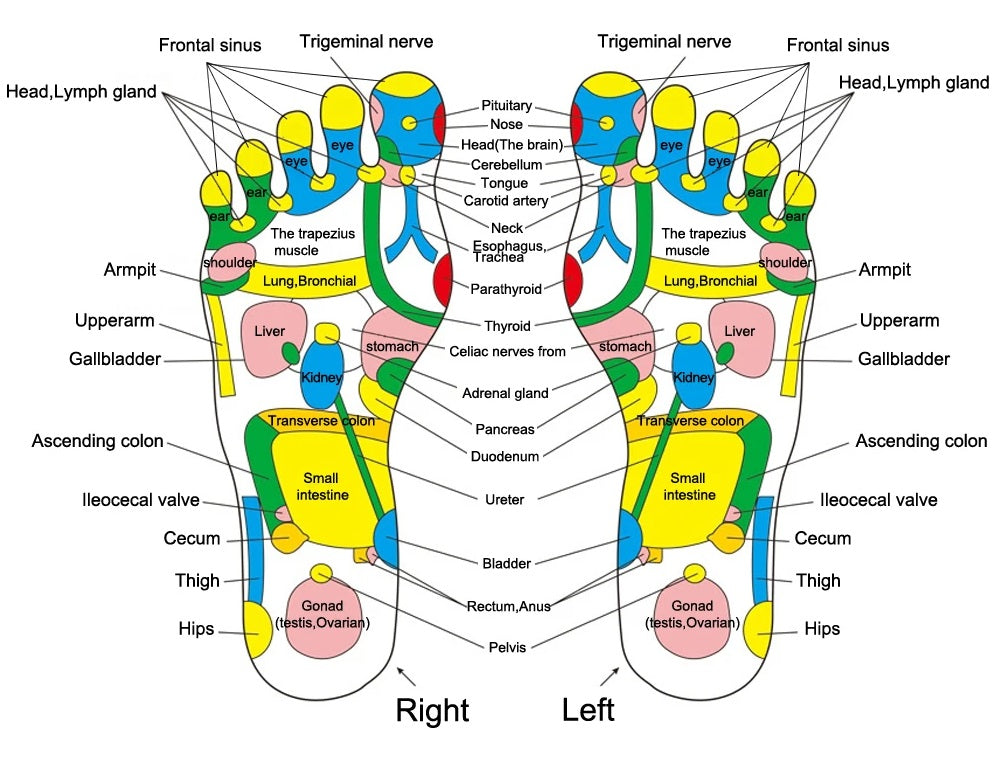 Reflexology Foot Massage Pad