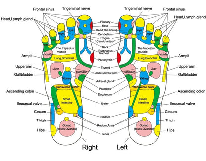 Reflexology Foot Massage Pad