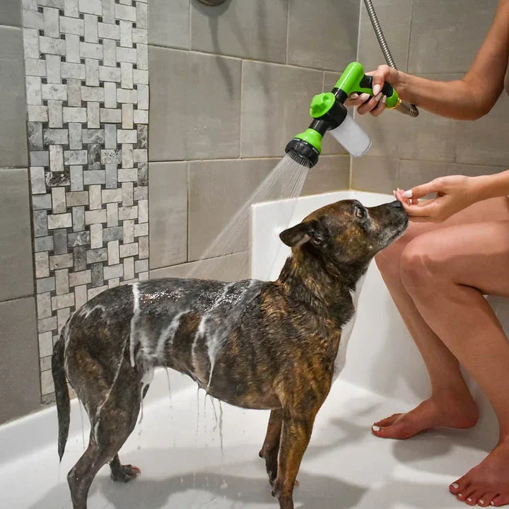 Sprayer with Built-in Soap Dispenser