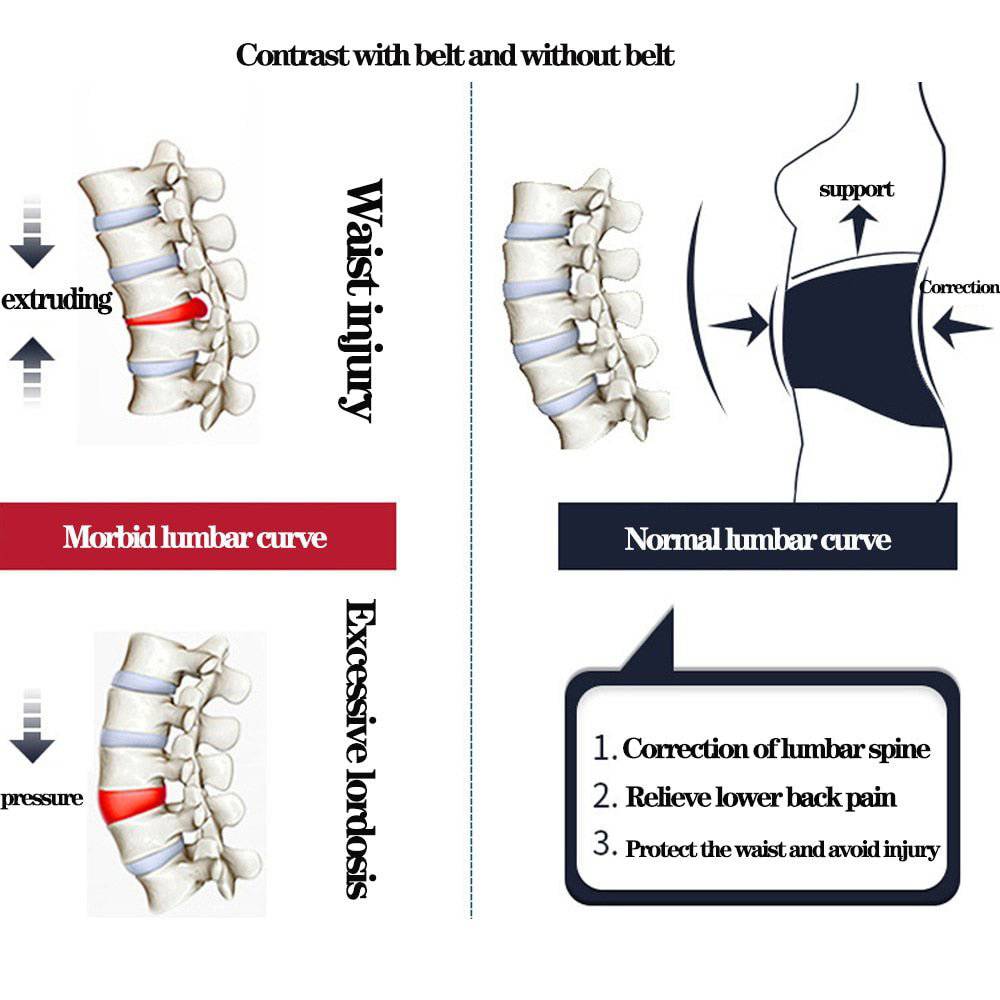 Back Support Belt™ - Smart Shop (Online Store for wise shoppers) 