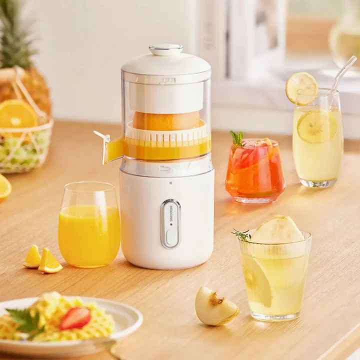 VitalFresh Portable Juicer