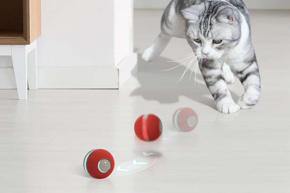 Smart Ball For Pets