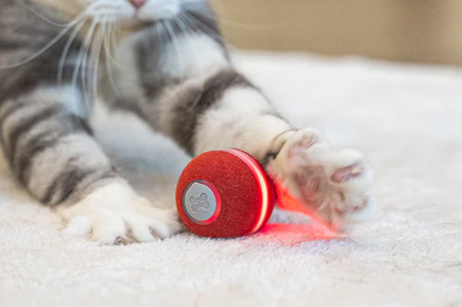 Smart Ball For Pets