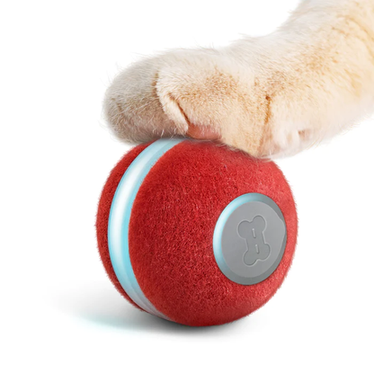 Smart Ball For Pets