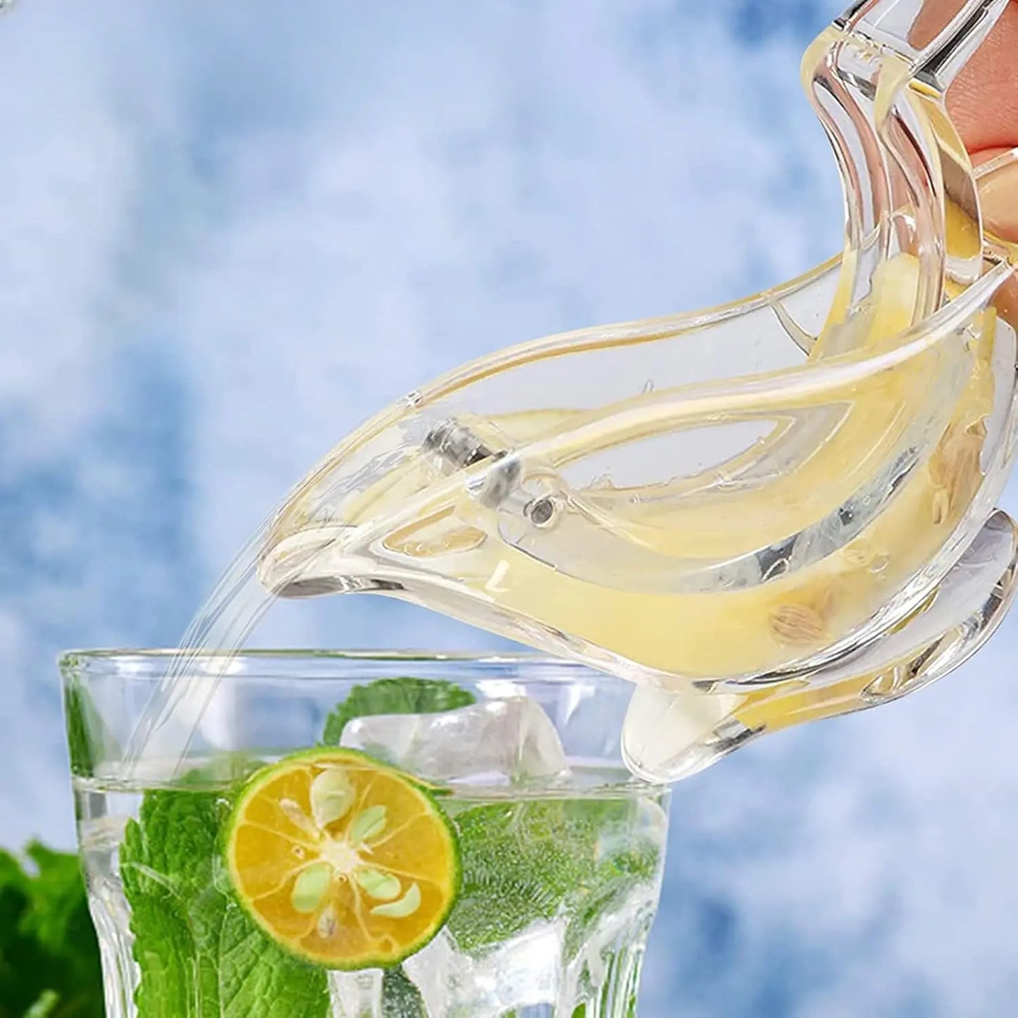 Manual Lemon Juicer