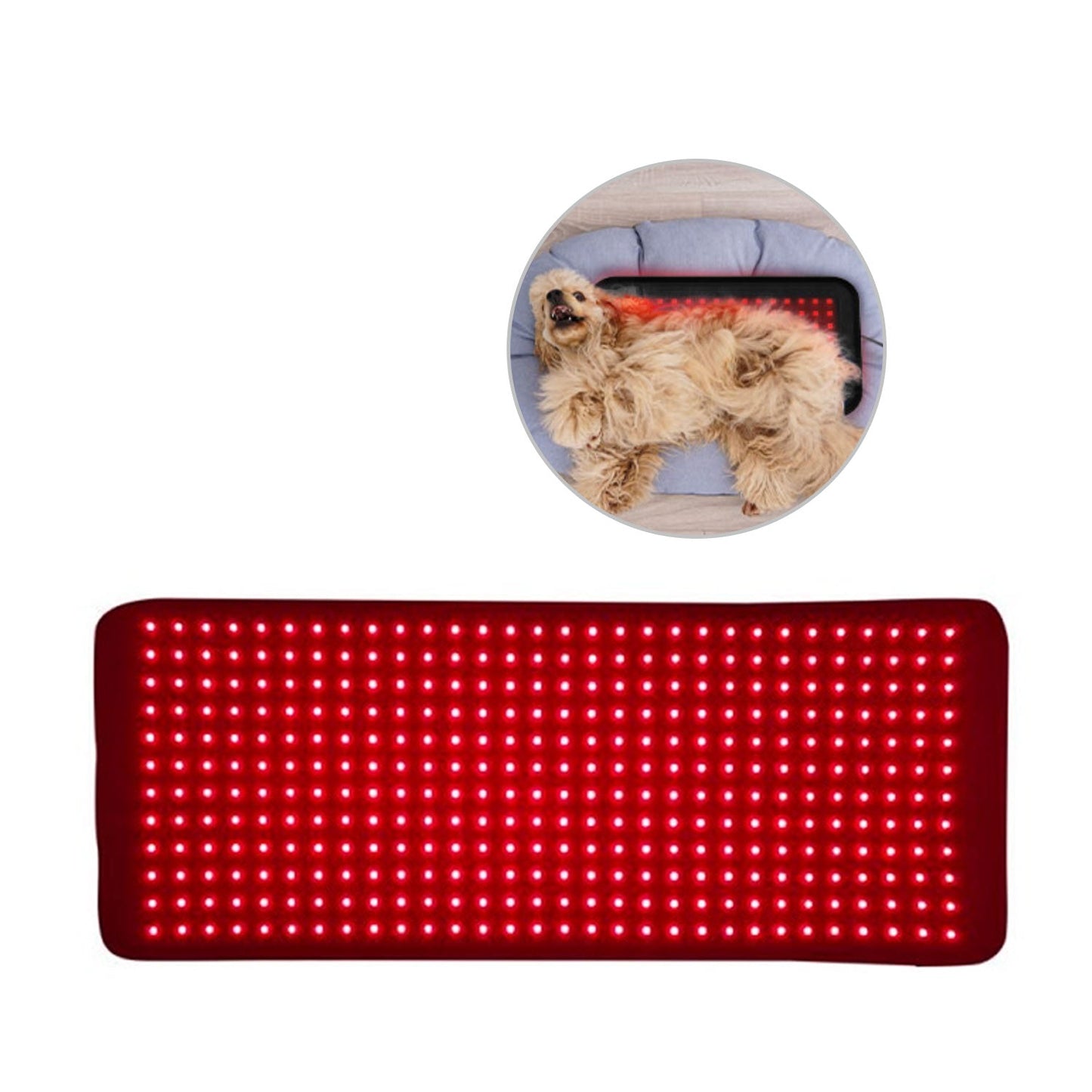 Megelin Red Light Therapy for Pets