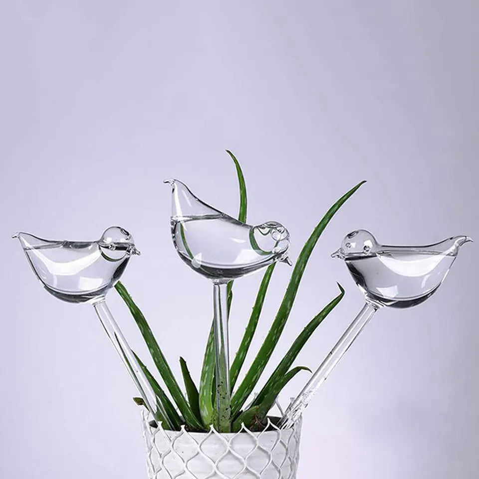 Self-Watering Plant Glass Bulbs (Set of 2)