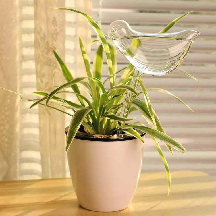 Self-Watering Plant Glass Bulbs (Set of 2)