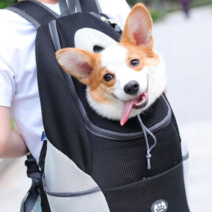 PawQuest Pet Carrier Backpack