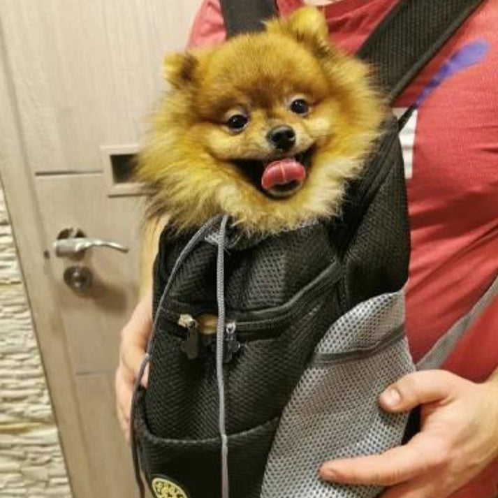 PawQuest Pet Carrier Backpack