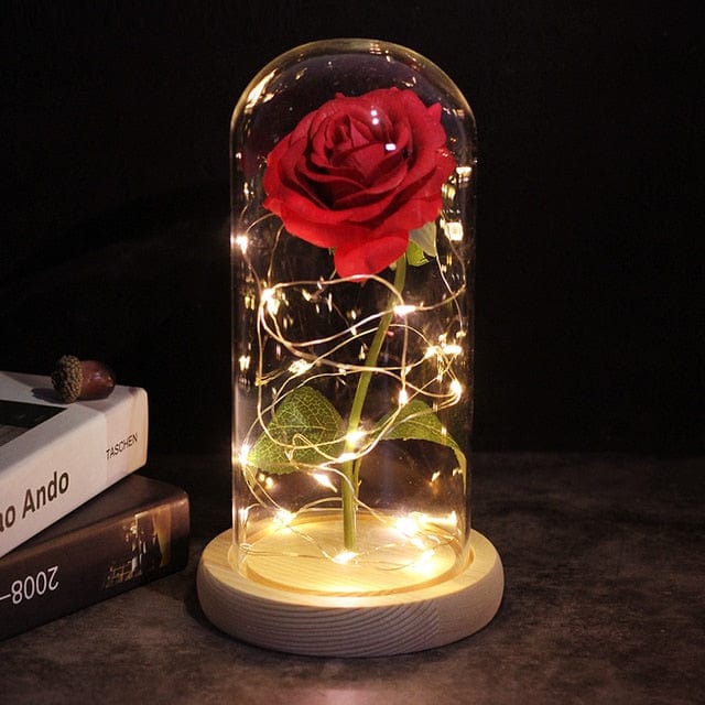 SearchFindOrder 20 Magic LED Eternal Enchanted Rose