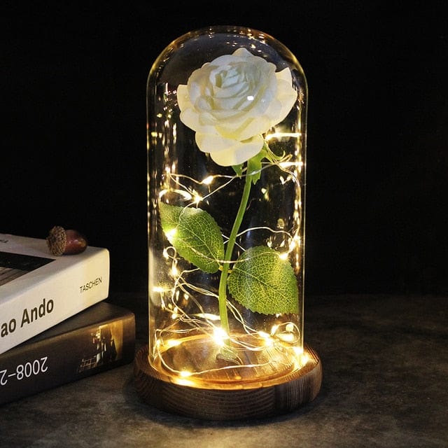 SearchFindOrder 14 Magic LED Eternal Enchanted Rose