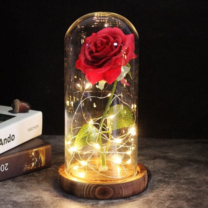 SearchFindOrder 19 Magic LED Eternal Enchanted Rose