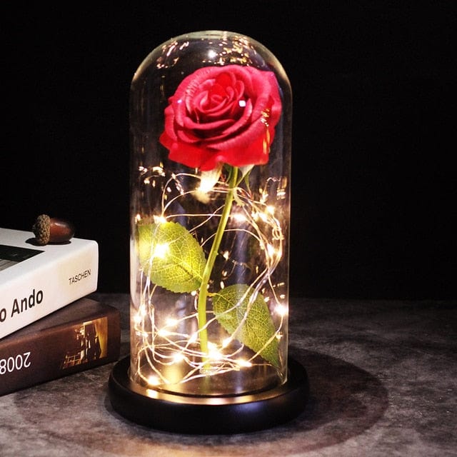 SearchFindOrder 3 Magic LED Eternal Enchanted Rose