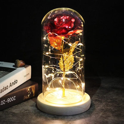 SearchFindOrder 10 Magic LED Eternal Enchanted Rose