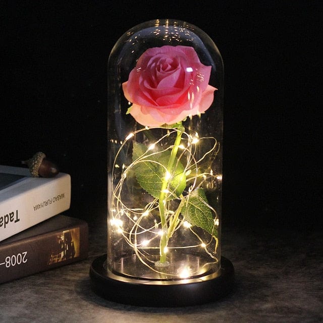 SearchFindOrder 11 Magic LED Eternal Enchanted Rose