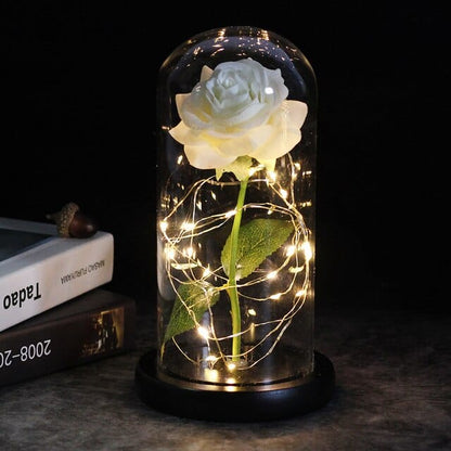 SearchFindOrder 6 Magic LED Eternal Enchanted Rose