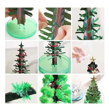 3-in-1 Magic Growth Christmas Tree Kit, DIY Festive Fun for Adults and Kids