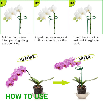 Premium Metal 16 Inch Plant Support Stakes, Single Stemmed Flower Support Hoops, Garden Plant Stakes, Plant Prop for Amaryllis, Orchid, Lily, Rose, Peony, Tomatoes, Gladiolus