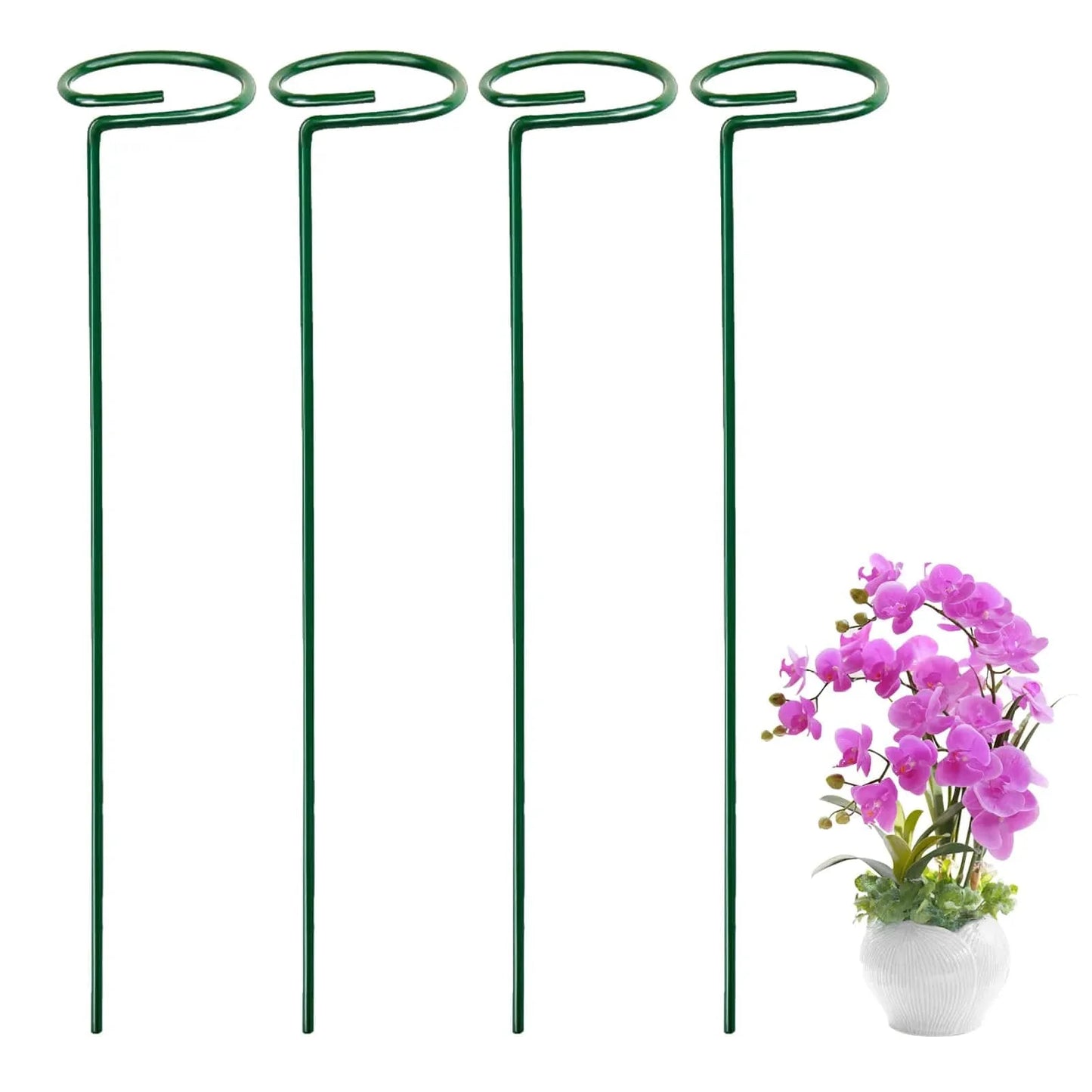 Premium Metal 16 Inch Plant Support Stakes, Single Stemmed Flower Support Hoops, Garden Plant Stakes, Plant Prop for Amaryllis, Orchid, Lily, Rose, Peony, Tomatoes, Gladiolus