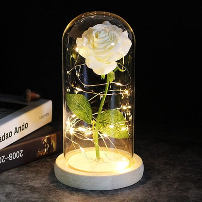 SearchFindOrder 5 Magic LED Eternal Enchanted Rose