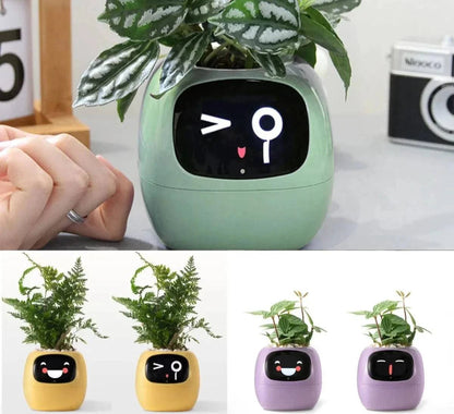 SearchFindOrder Purple AI Plant Pot