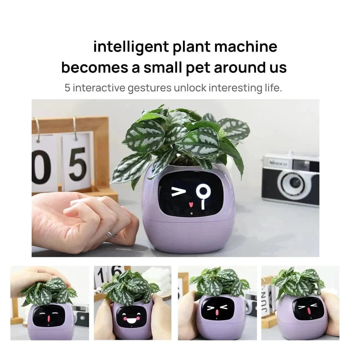 SearchFindOrder Yellow AI Plant Pot