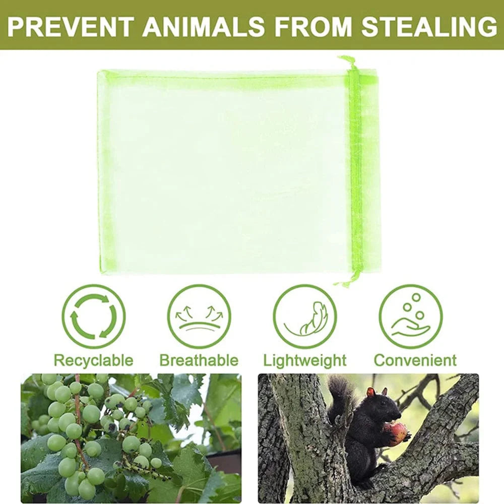 SearchFindOrder Light green / 10 x 15 cm(100PCS) Anti-Insect Garden Mesh Bags