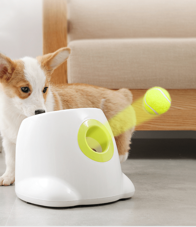 Automatic Dog Ball Launcher - Smart Shop (Online Store for wise shoppers) 