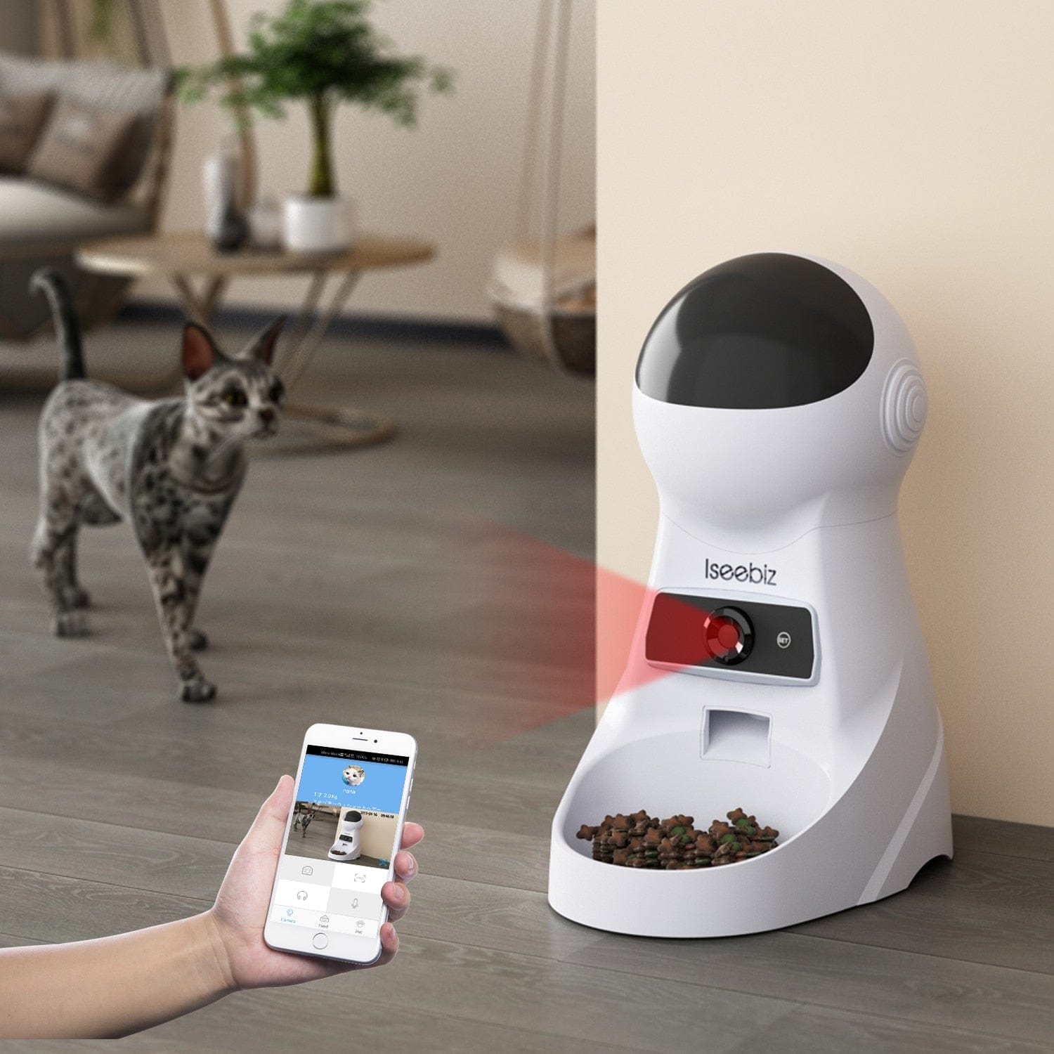 SearchFindOrder LCD food feeder / China Automatic Smart Pet Feeder