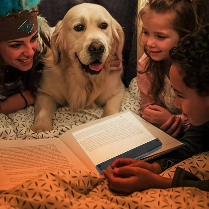 LED Wireless Book Lamp