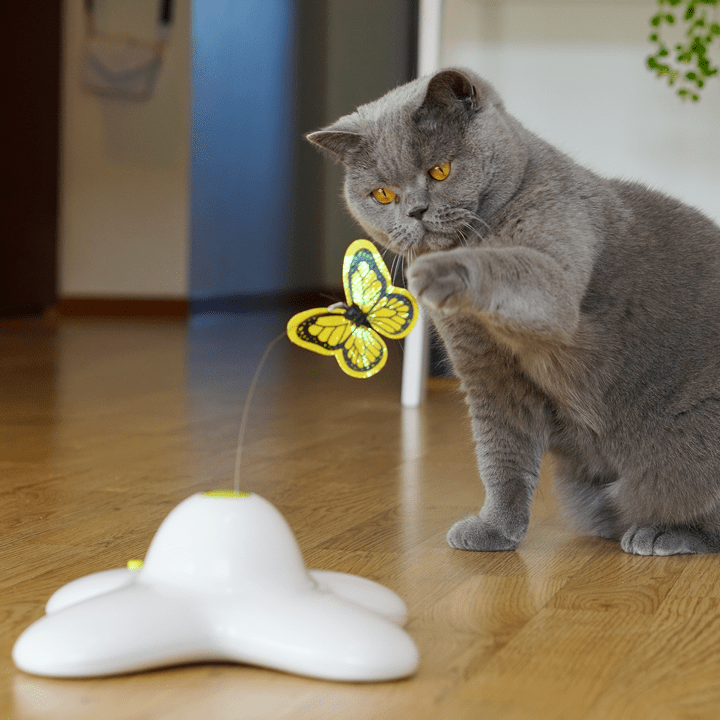 Busy Butterfly Cat Toy - Smart Shop (Online Store for wise shoppers) 